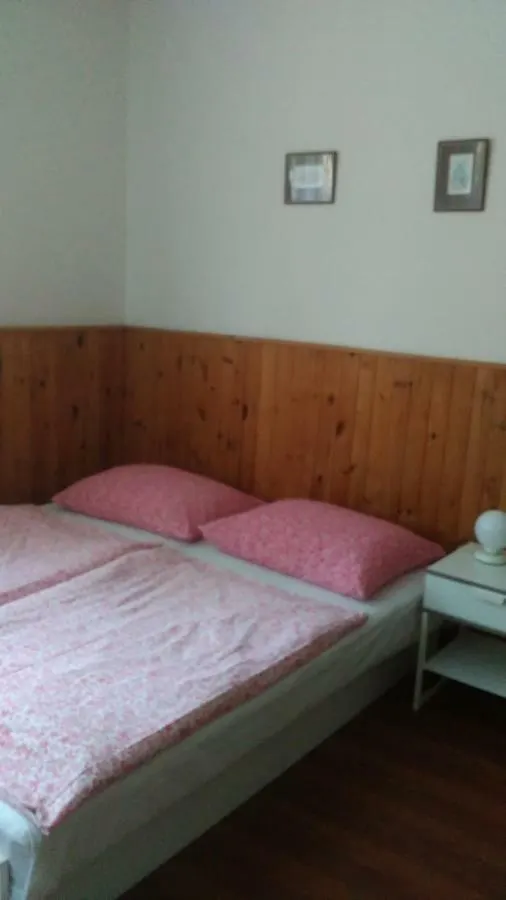 براغ Guest House Dd فندق مبيت وإفطار