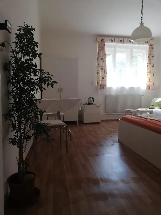 براغ Guest House Dd فندق مبيت وإفطار